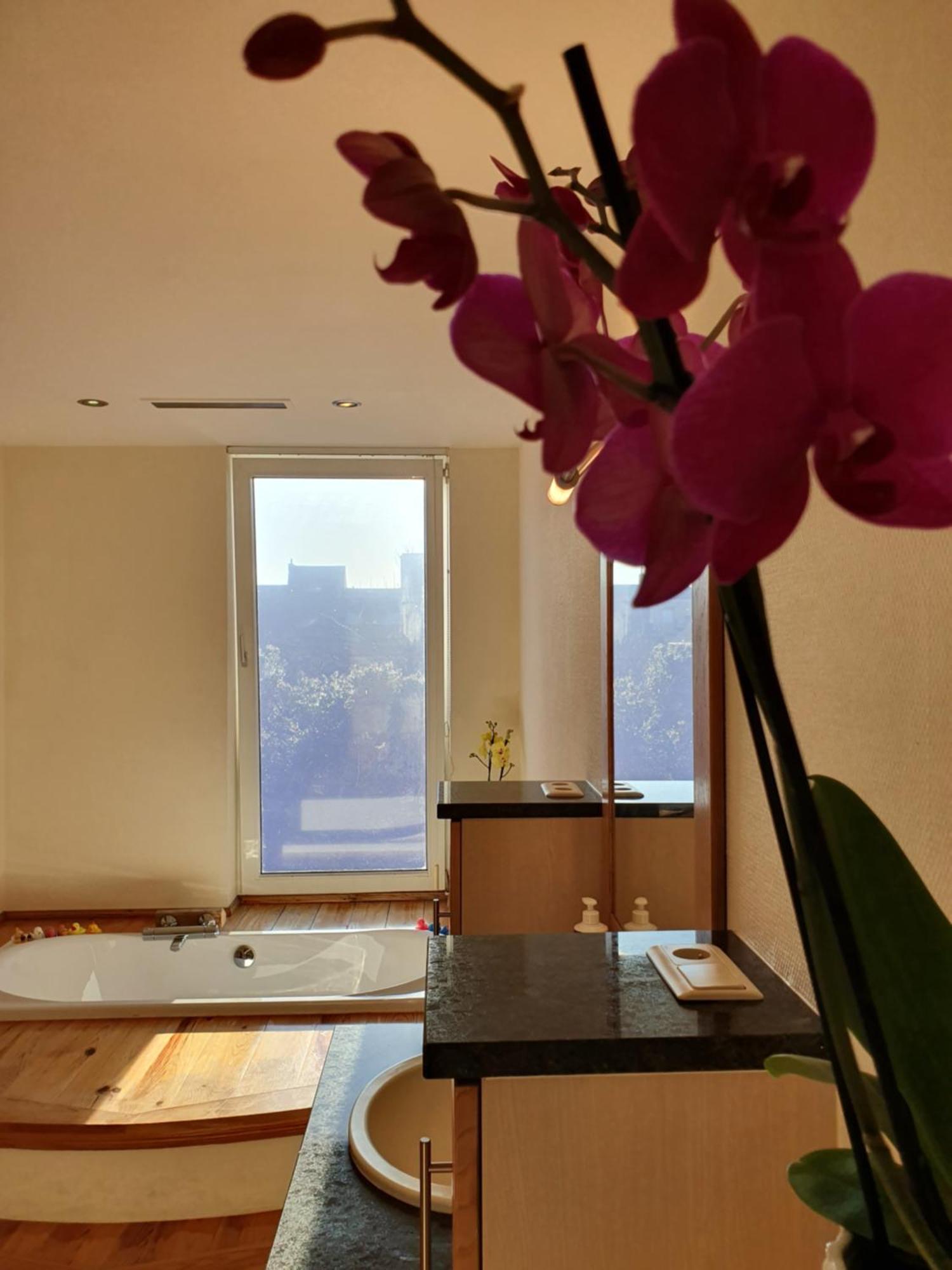 Villa Huize La Passion Vacationhouse 10 Min Walk From The Sea Middelkerke Esterno foto